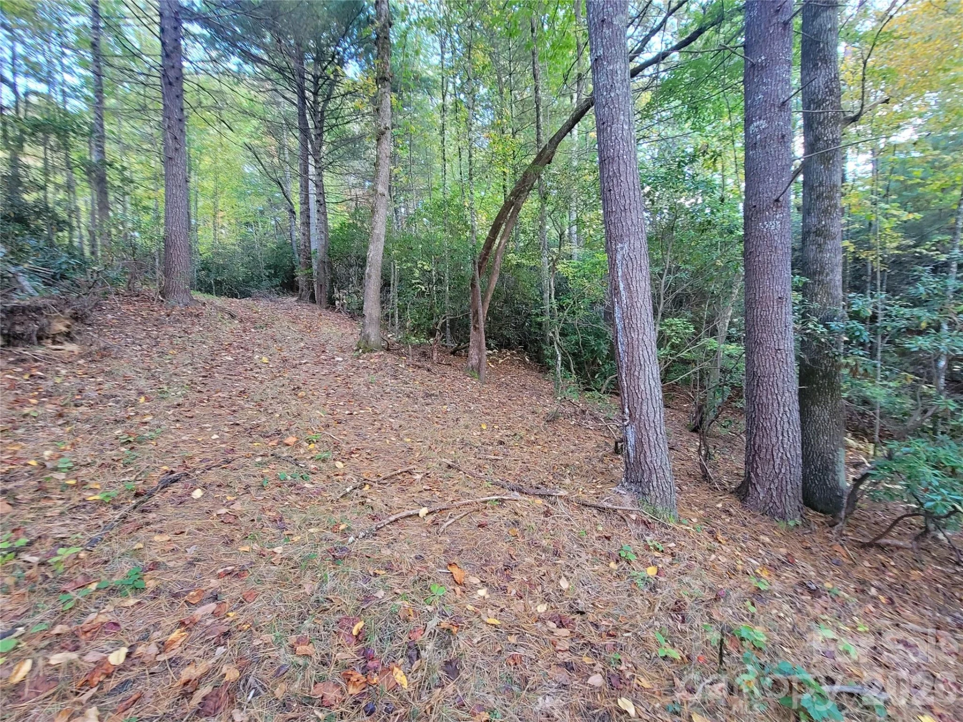 0 Big Hungry Road - Photo 26