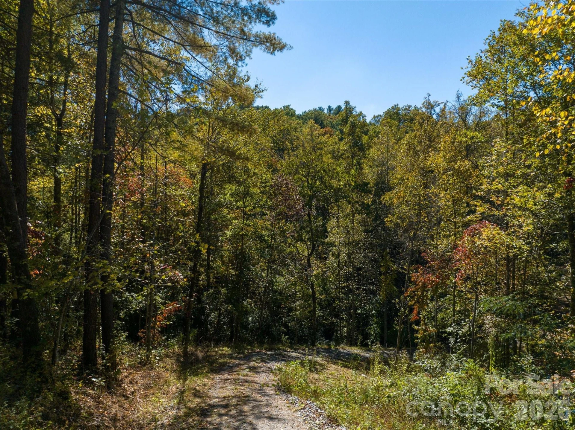 0 Big Hungry Road - Photo 27
