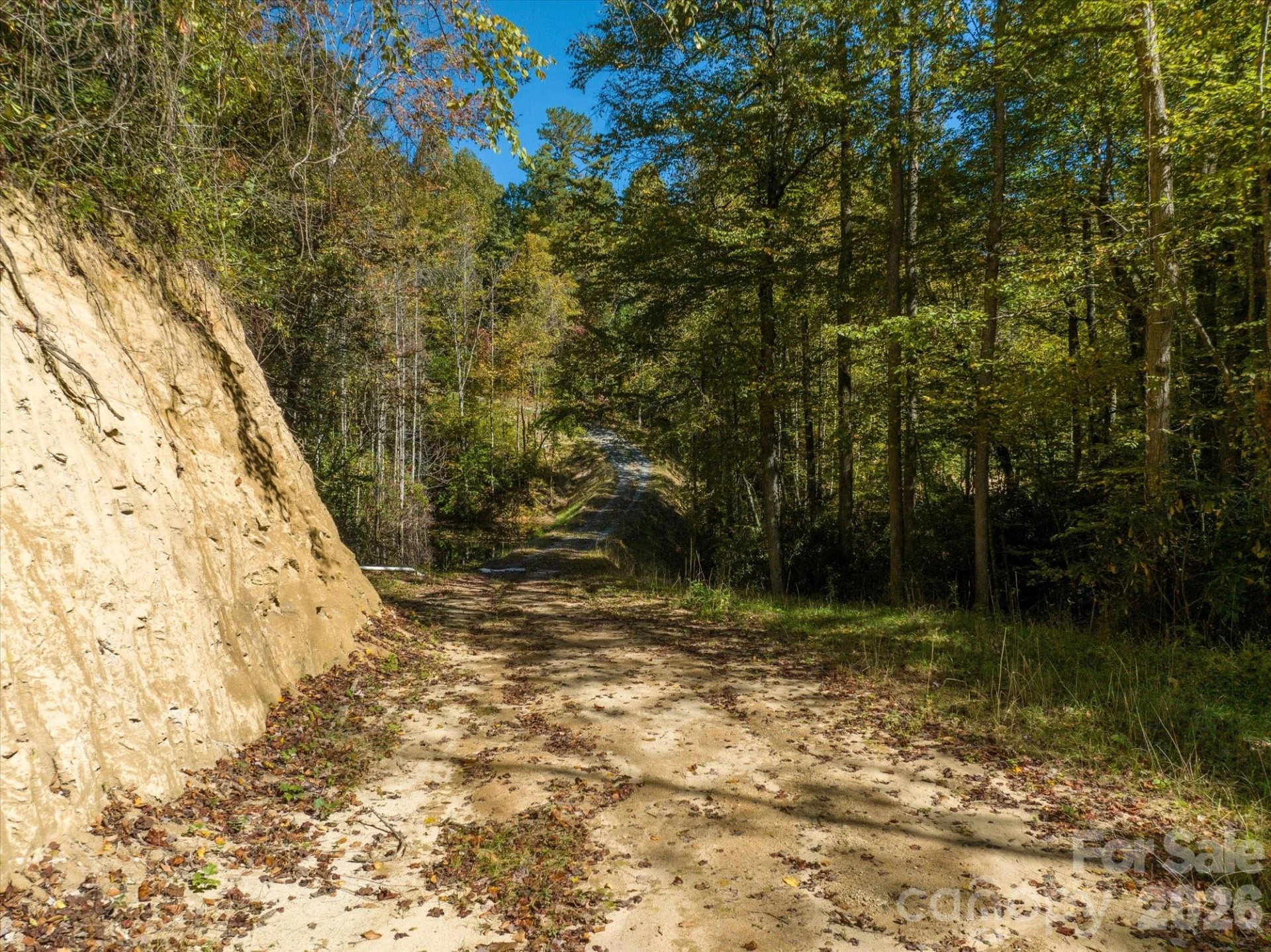 0 Big Hungry Road - Photo 29