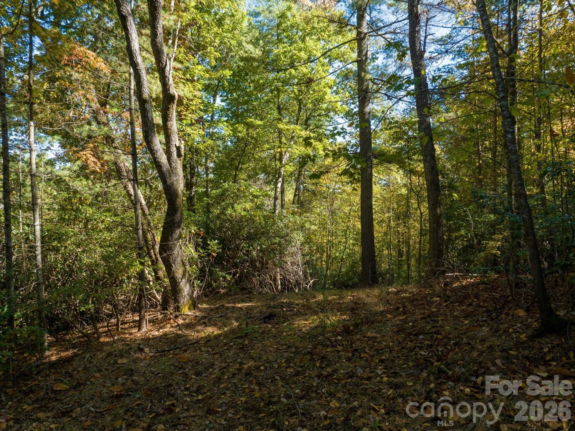 0 Big Hungry Road - Photo 31