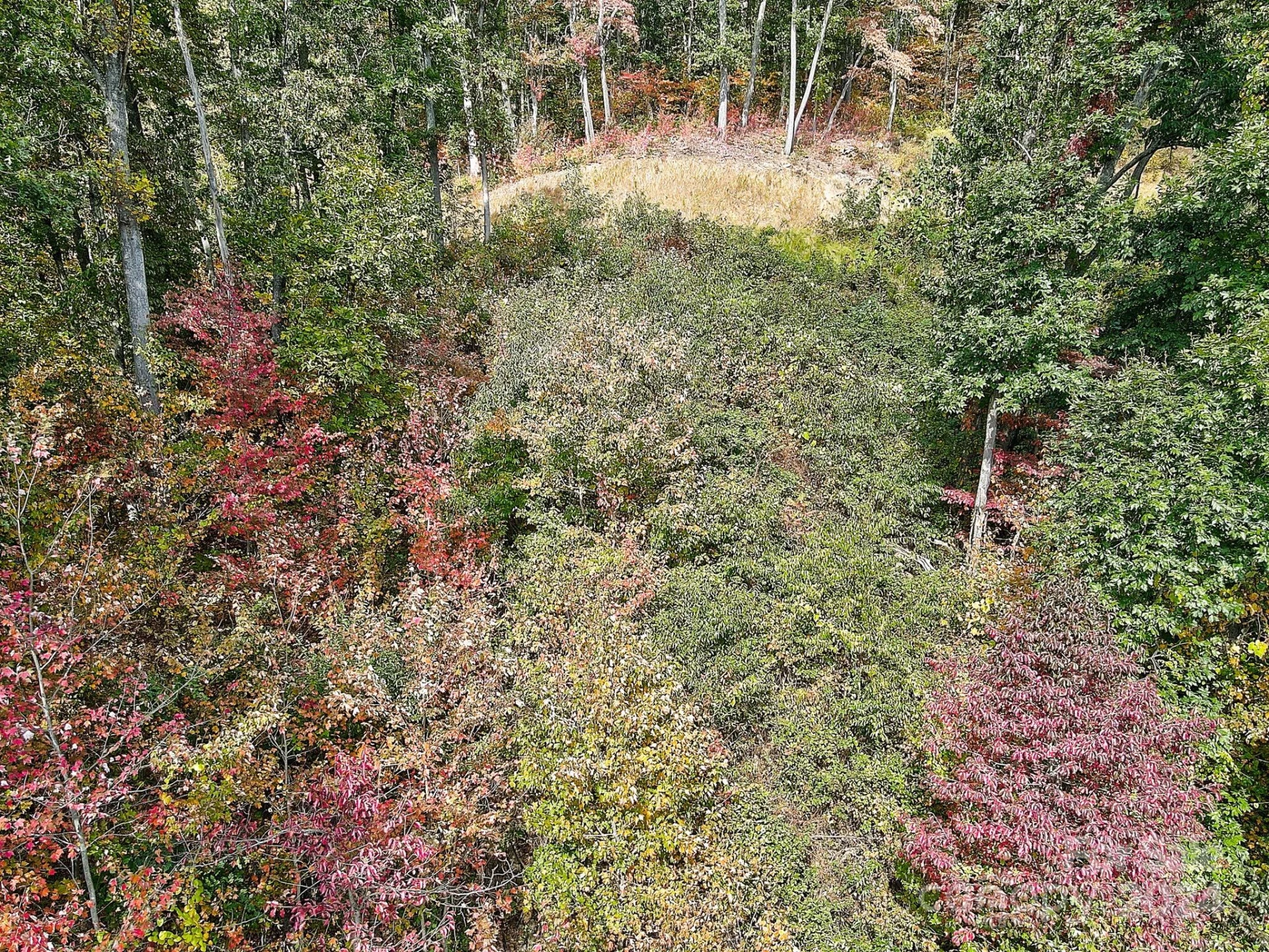 000 High Rock View Drive #32 - Photo 12
