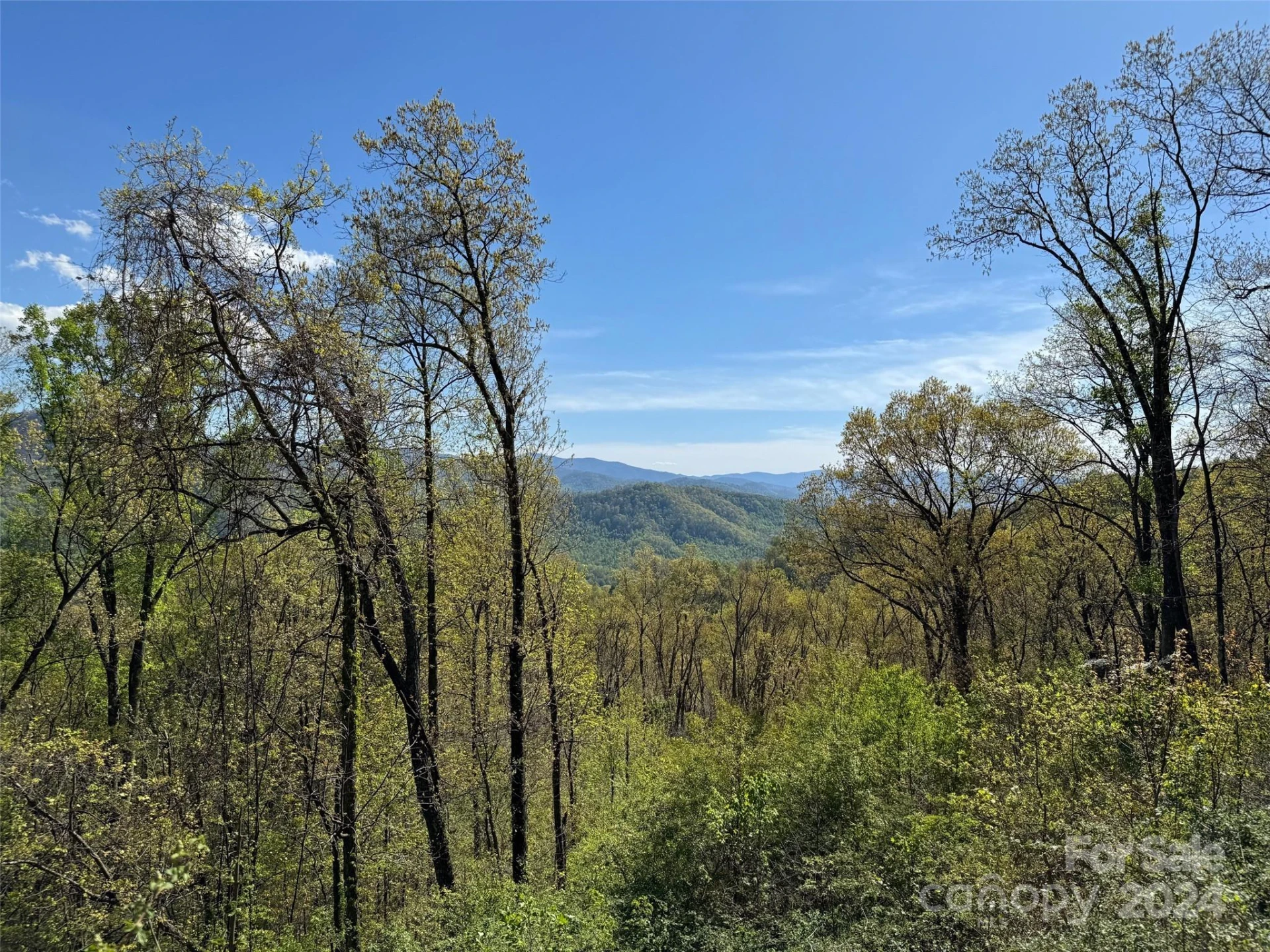 000 High Rock View Drive #32 - Photo 20