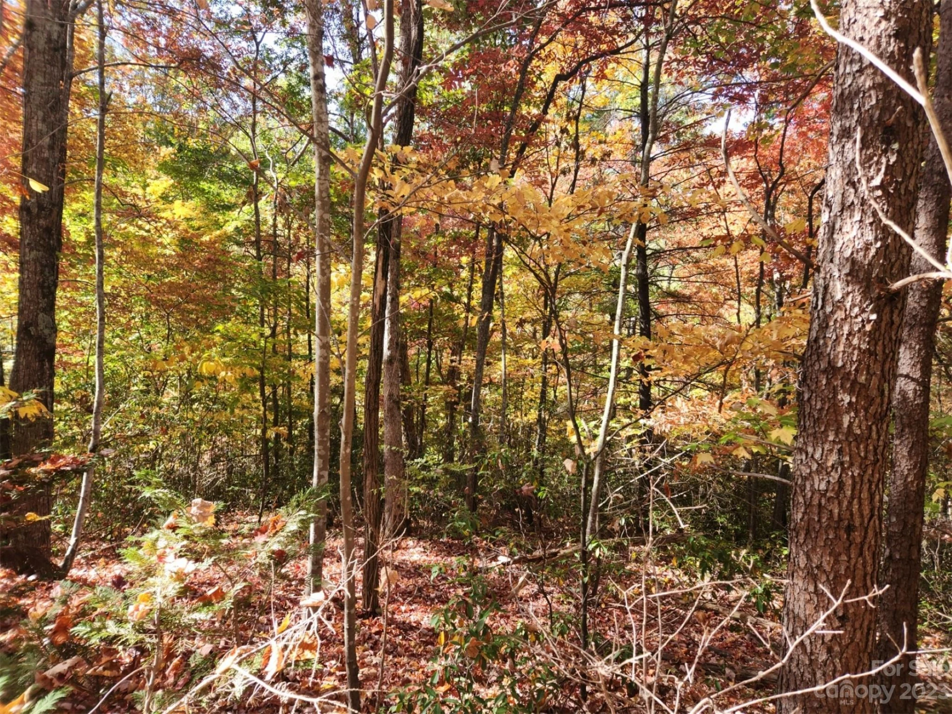 00 Angel of the Lake Drive #17 - Photo 4