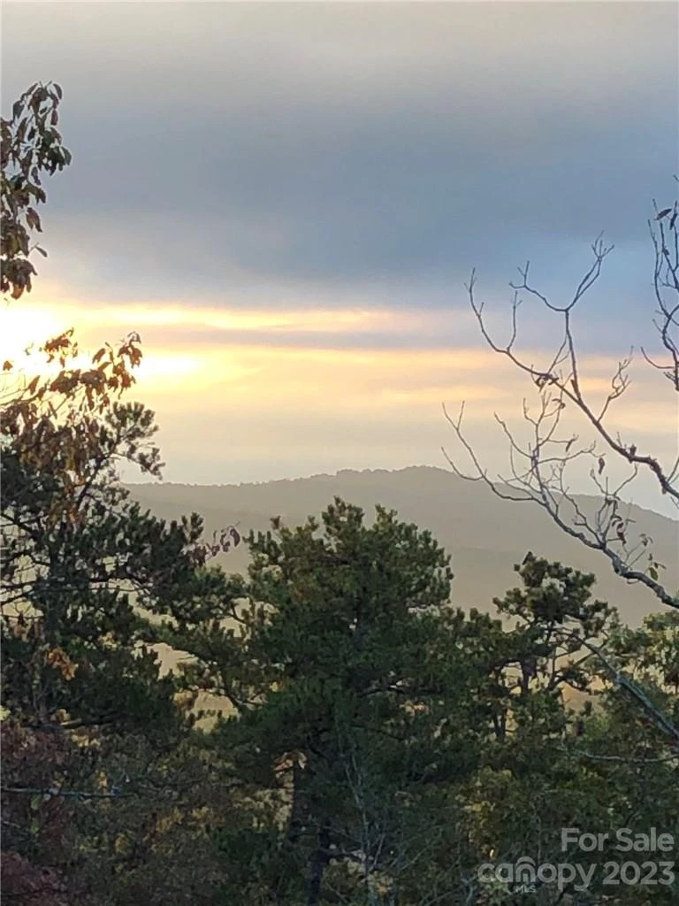 Lot M6 Pine Mountain Trail #M6 - Photo 18
