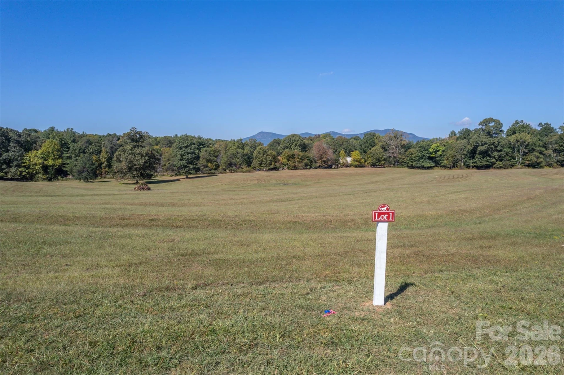 Lot 1 Mountain Meadows Lane - Photo 3