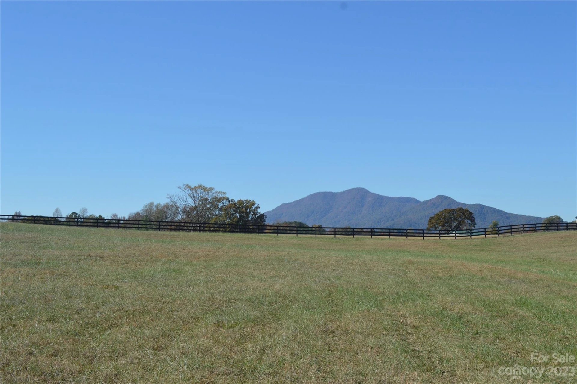 00 Saddleside Drive - Photo 3