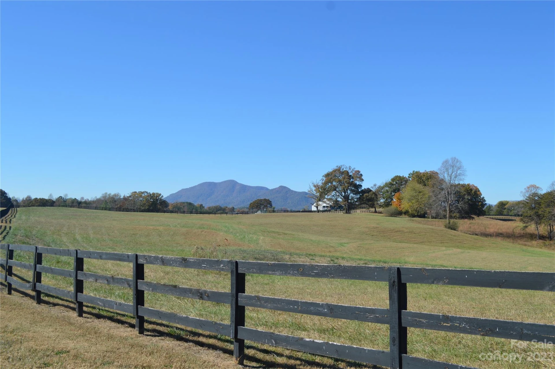 00 Saddleside Drive - Photo 6