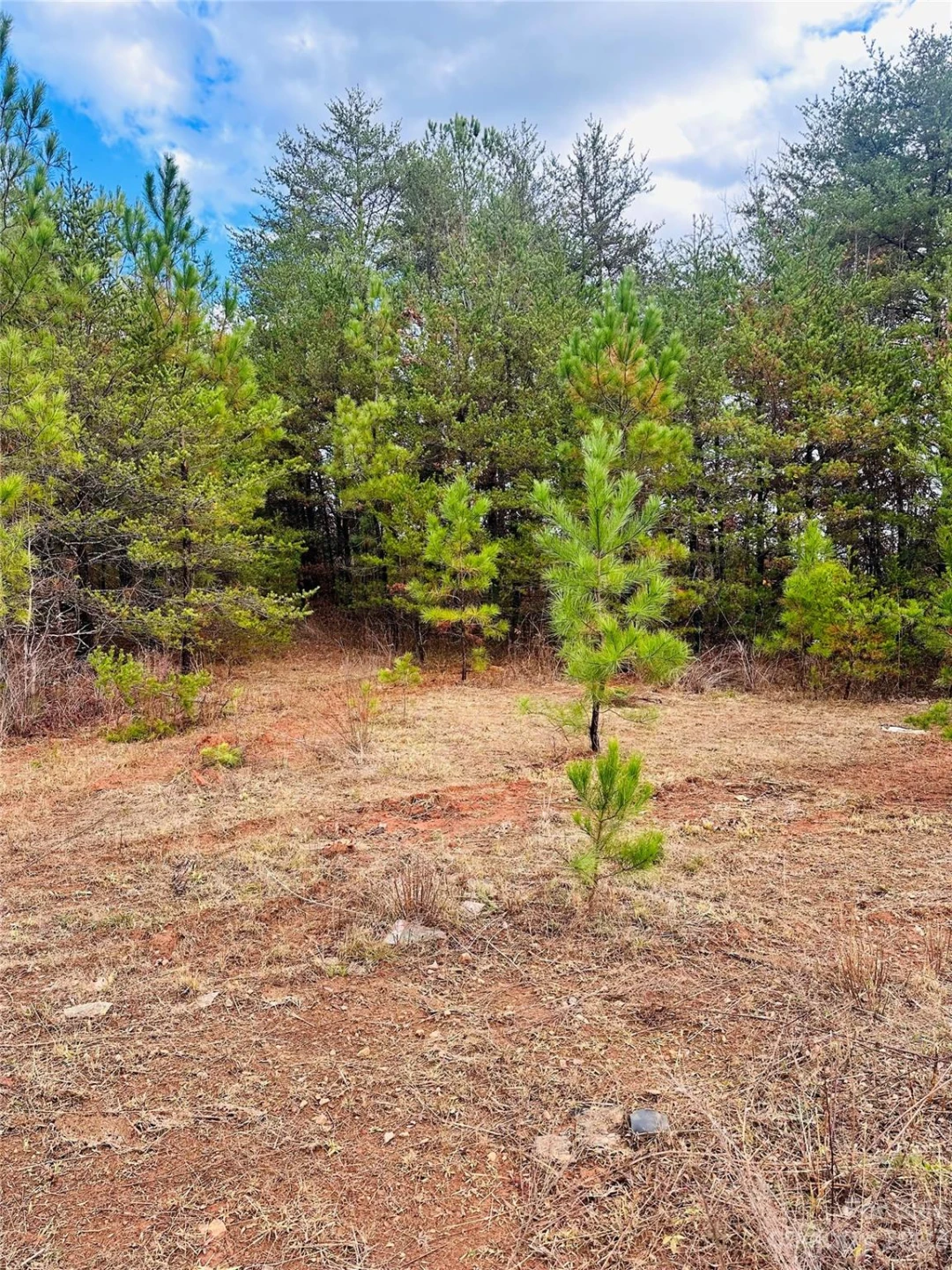 352 Sunnyview Drive - Photo 6