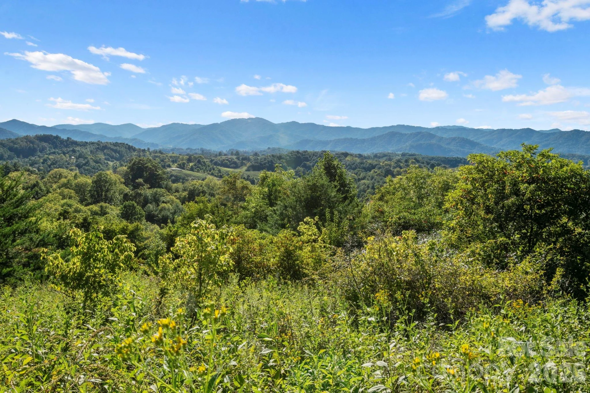 1231 Baileys Branch Road #3 - Photo 22