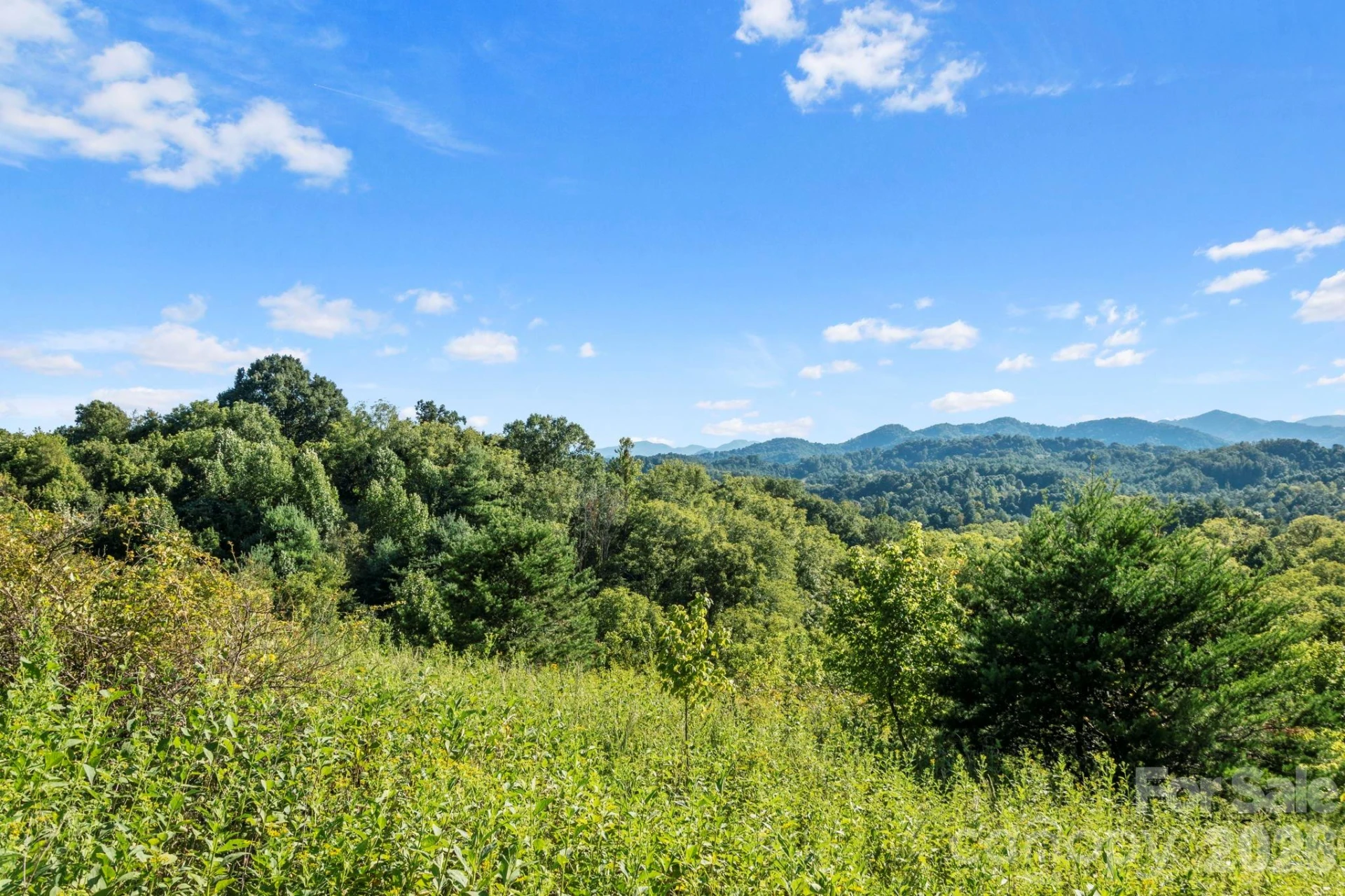 1231 Baileys Branch Road #3 - Photo 24