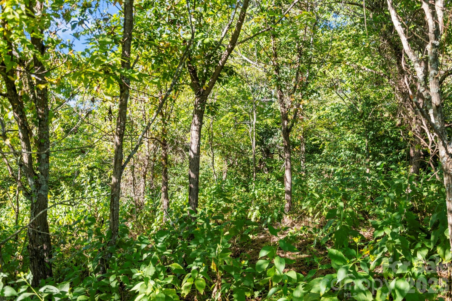 1231 Baileys Branch Road #3 - Photo 27