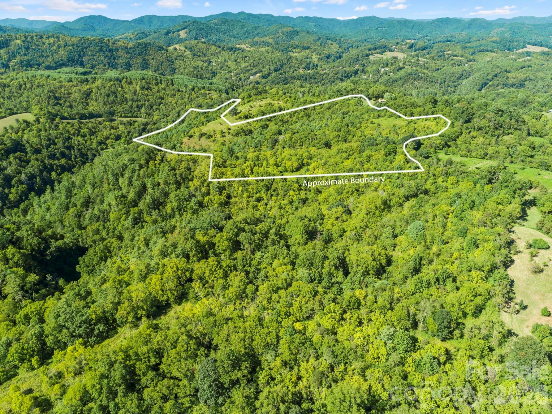 1231 Baileys Branch Road #3 - Photo 29