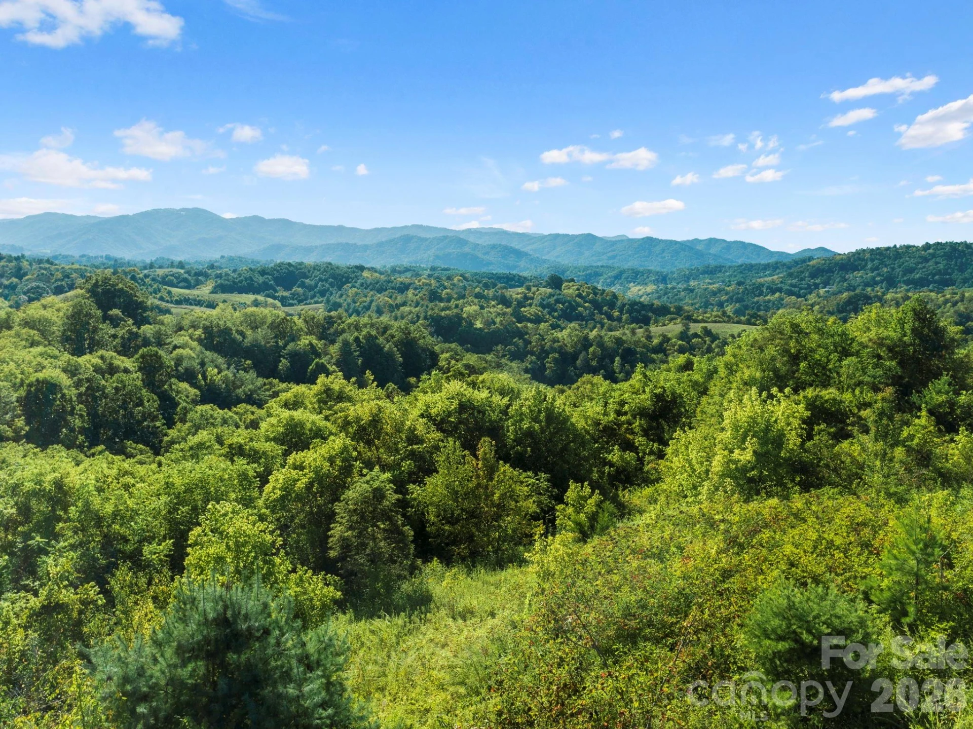 1231 Baileys Branch Road #3 - Photo 30