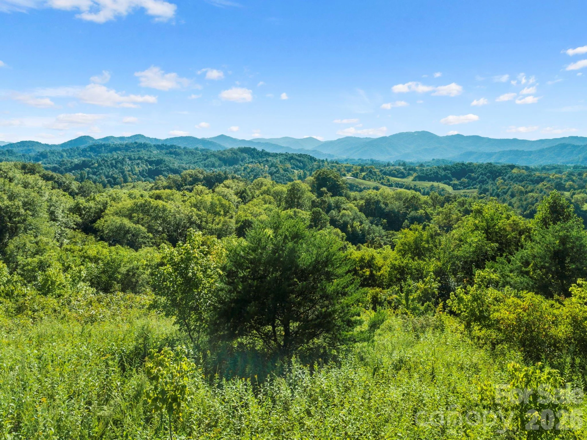 1231 Baileys Branch Road #3 - Photo 31