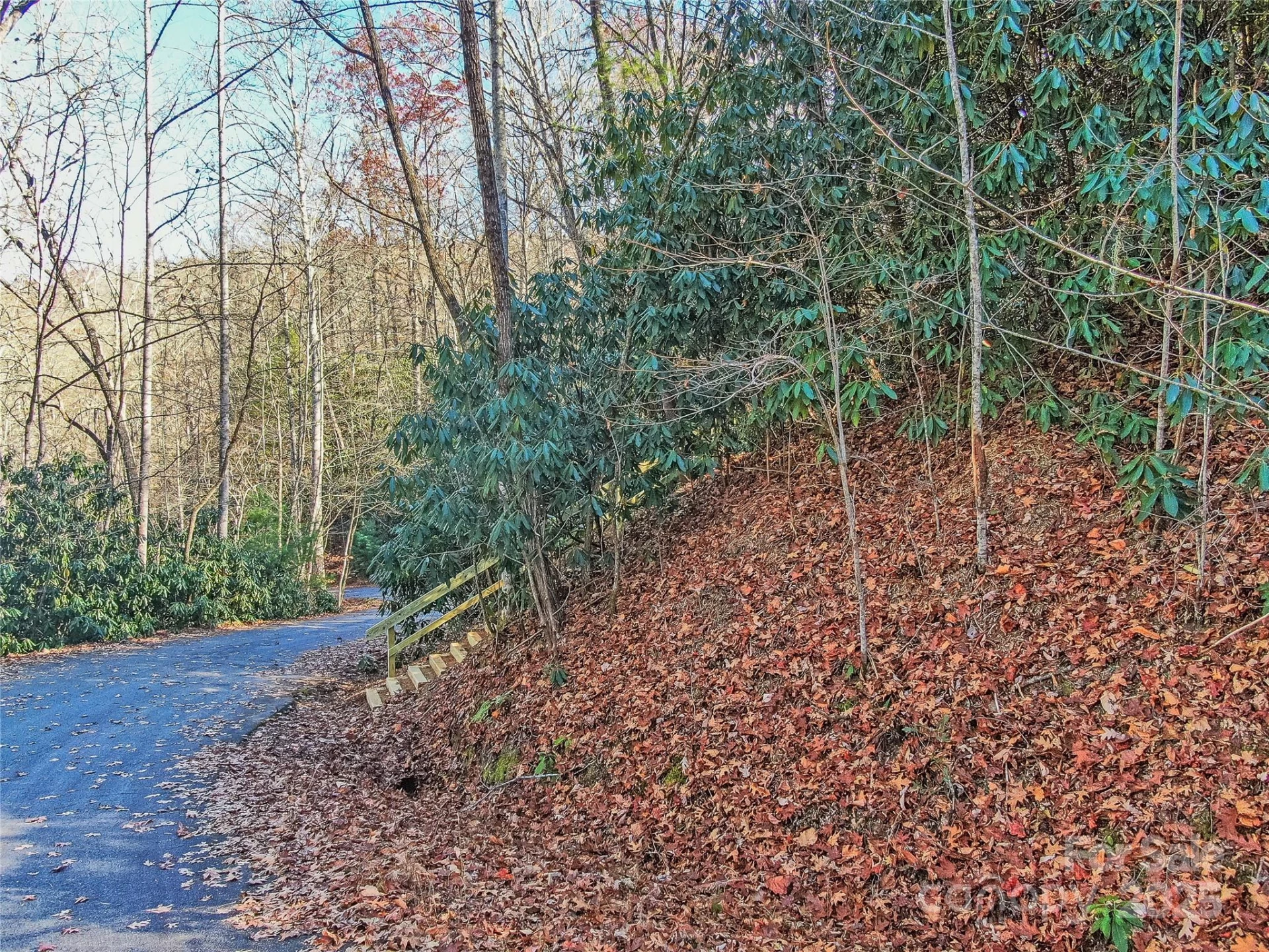TBD Dundee Lane #6A - Photo 3