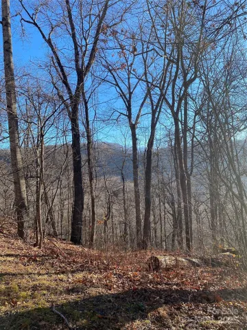 000 Wash Freeman Road