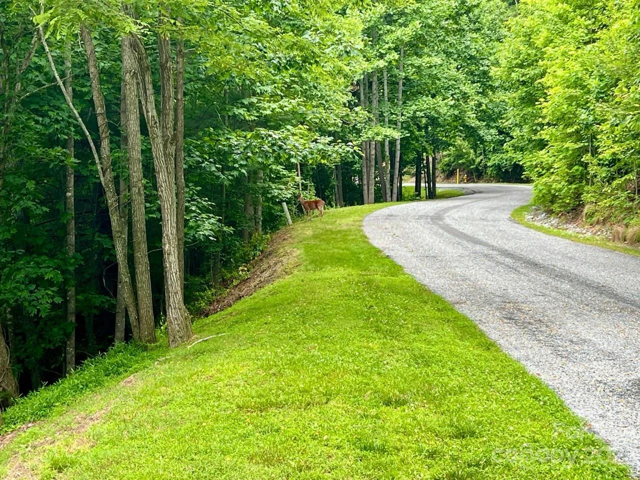 150 Thistlewynd Trail - Photo 6