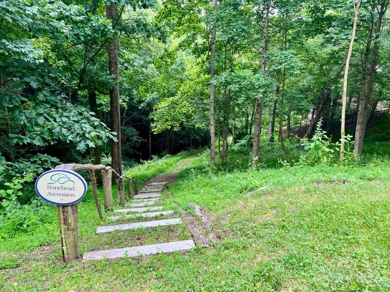 150 Thistlewynd Trail - Photo 7