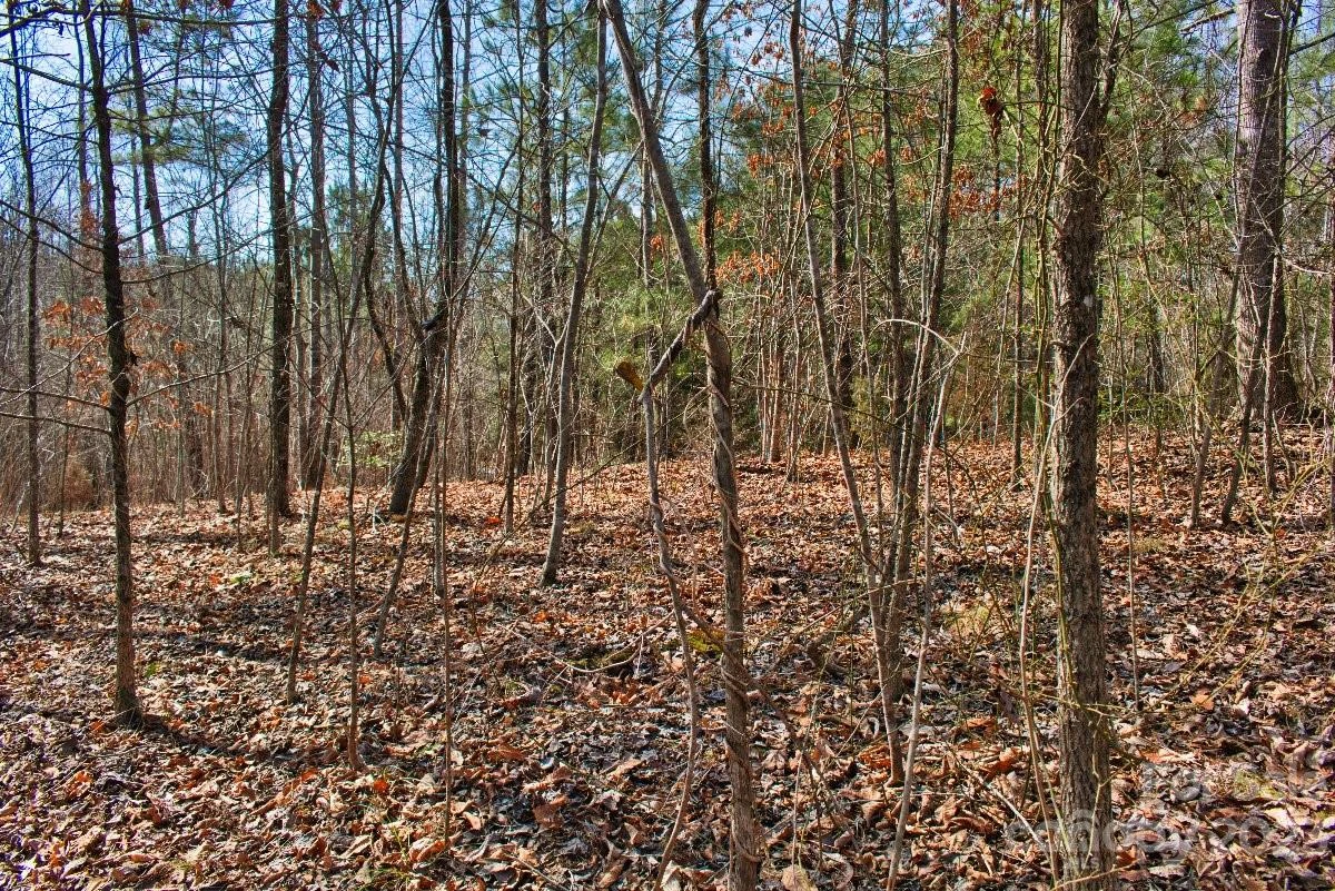 0 Woodstock Lane #170 - Photo 3