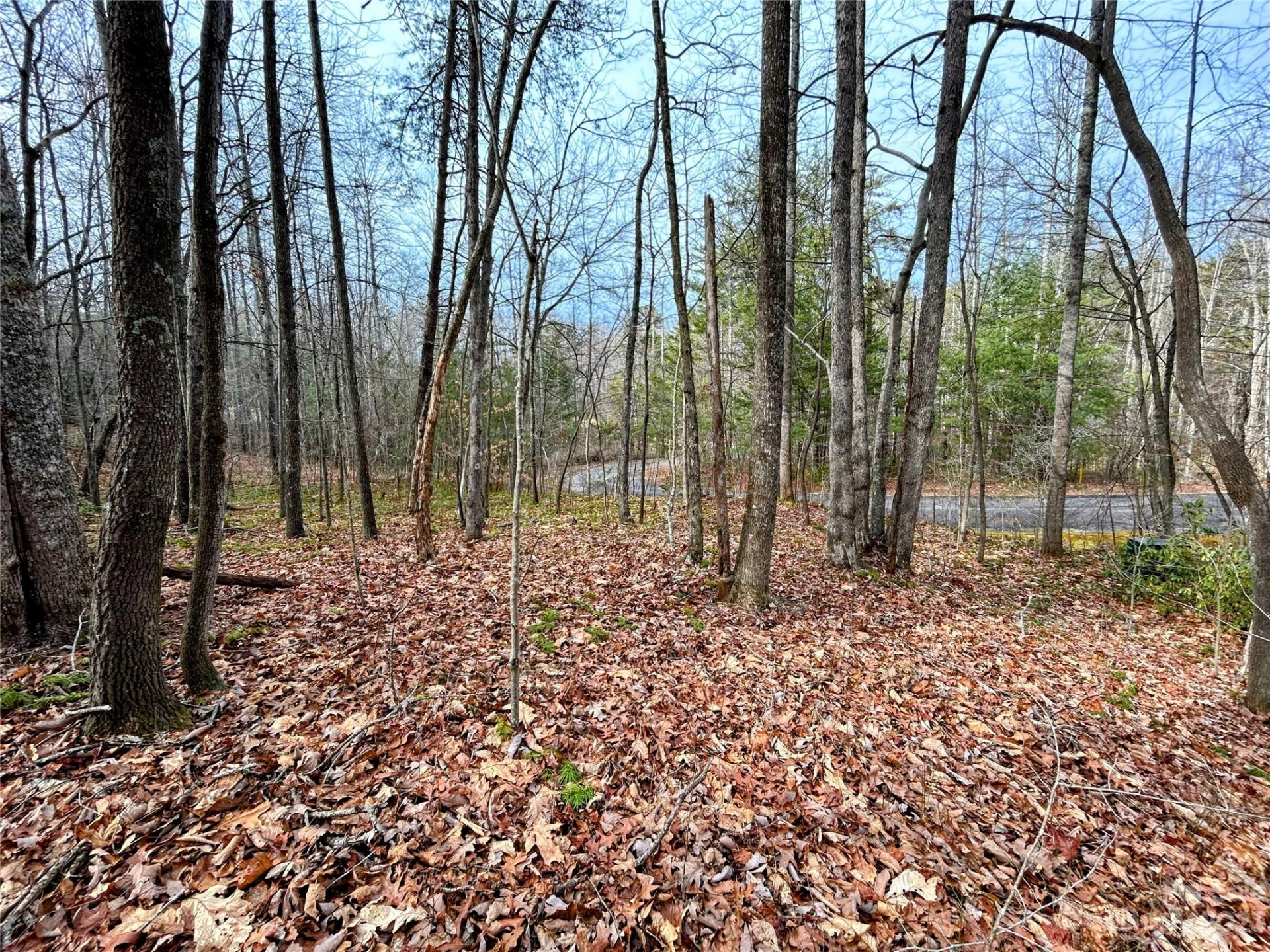 Lot 7 Azalea Way - Photo 2