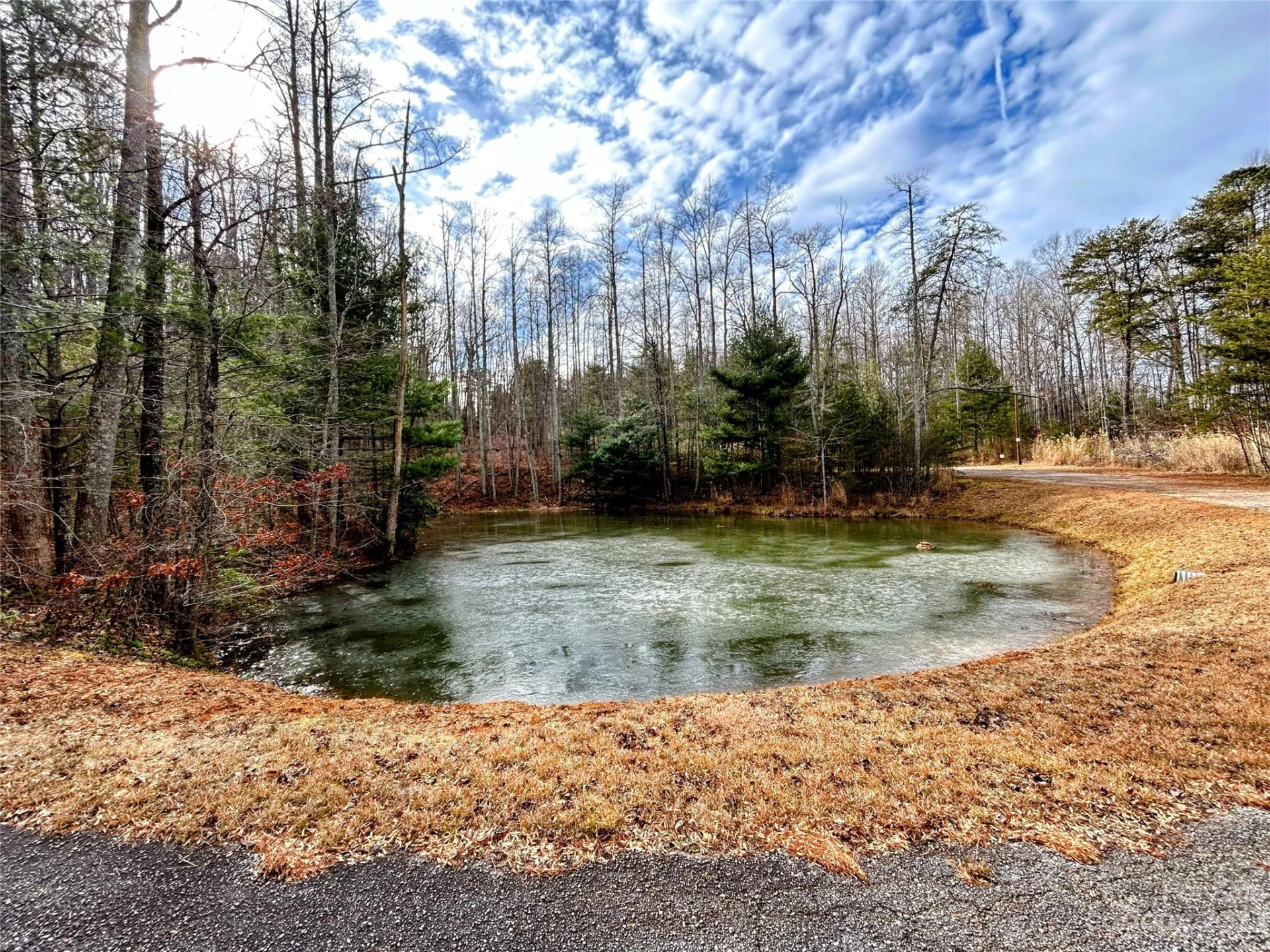 Lot 7 Azalea Way - Photo 12