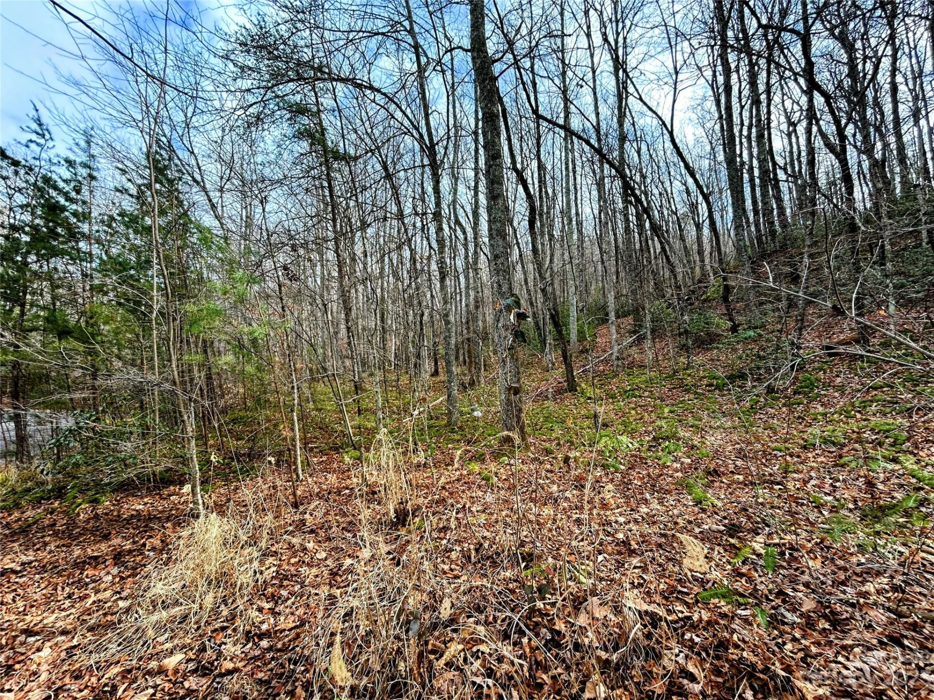 Lot 7 Azalea Way - Photo 4