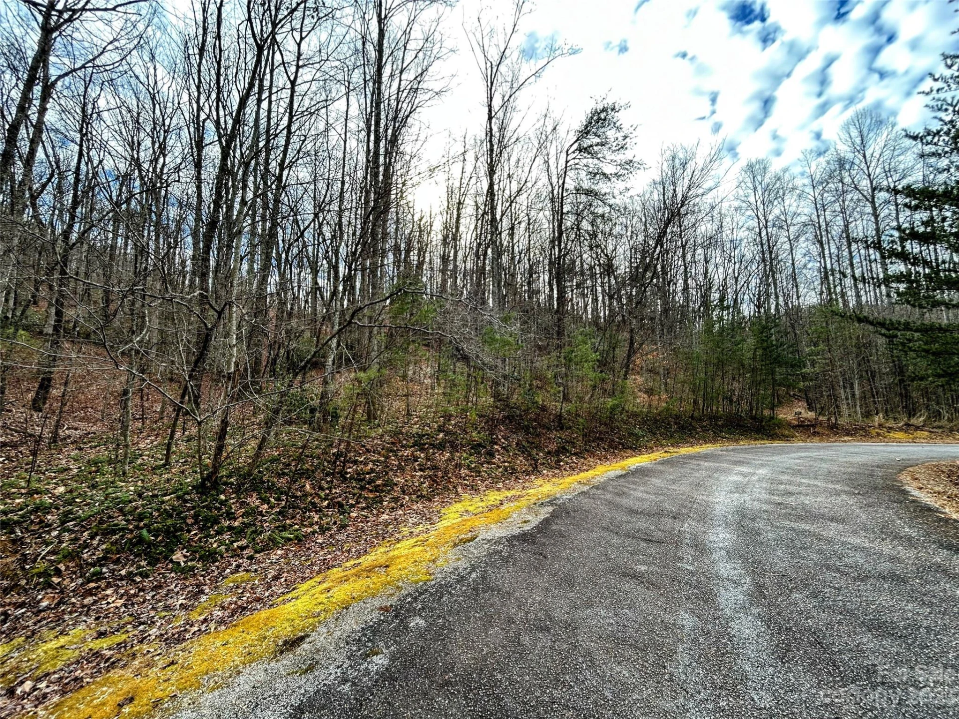 Lot 7 Azalea Way - Photo 9