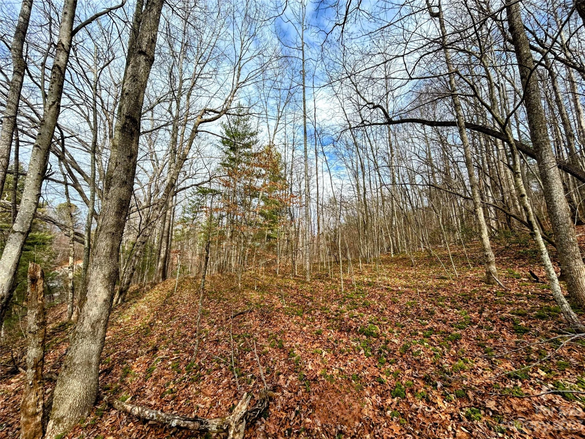 Lot 8 Azalea Way