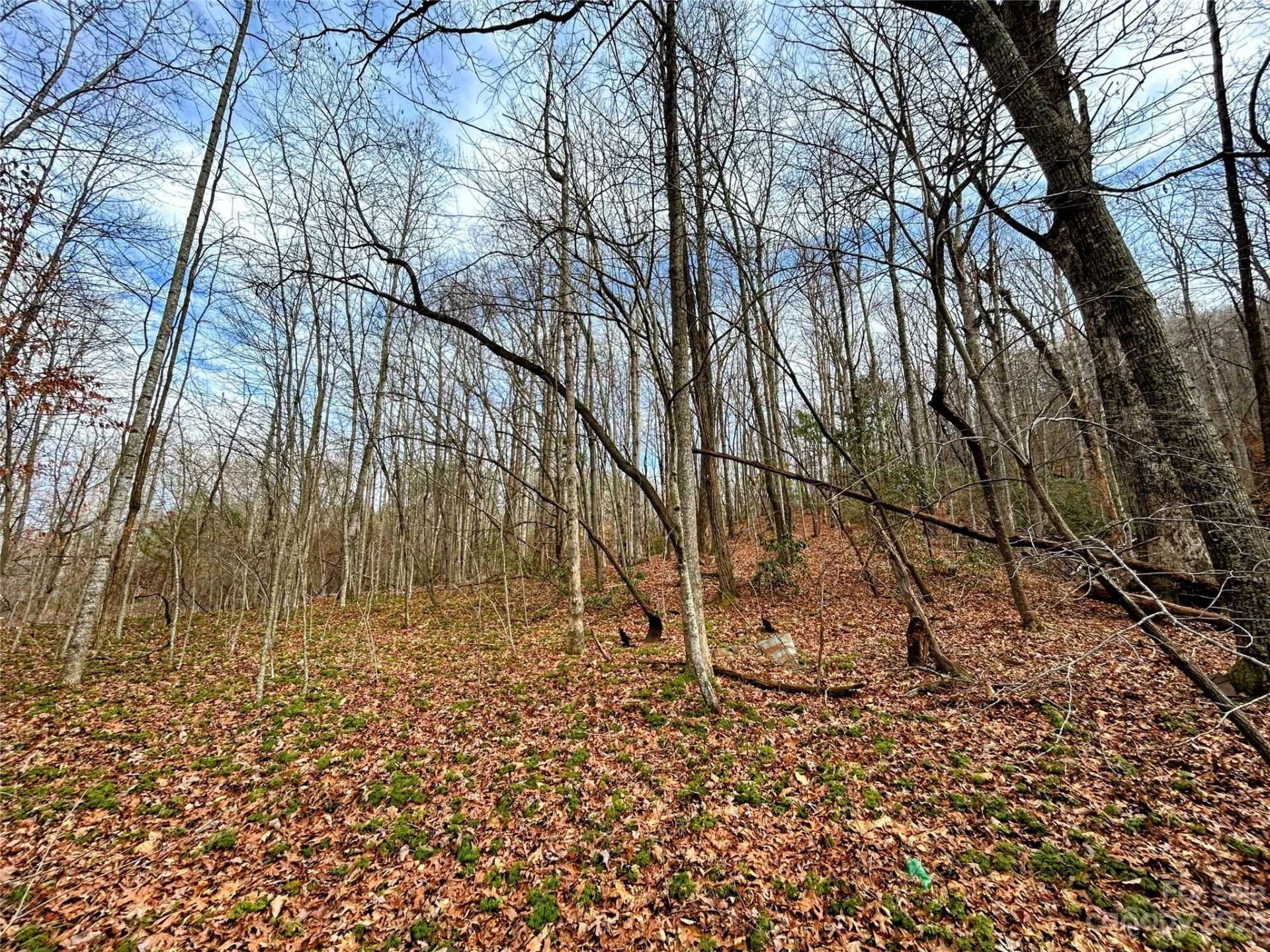 Lot 8 Azalea Way - Photo 2