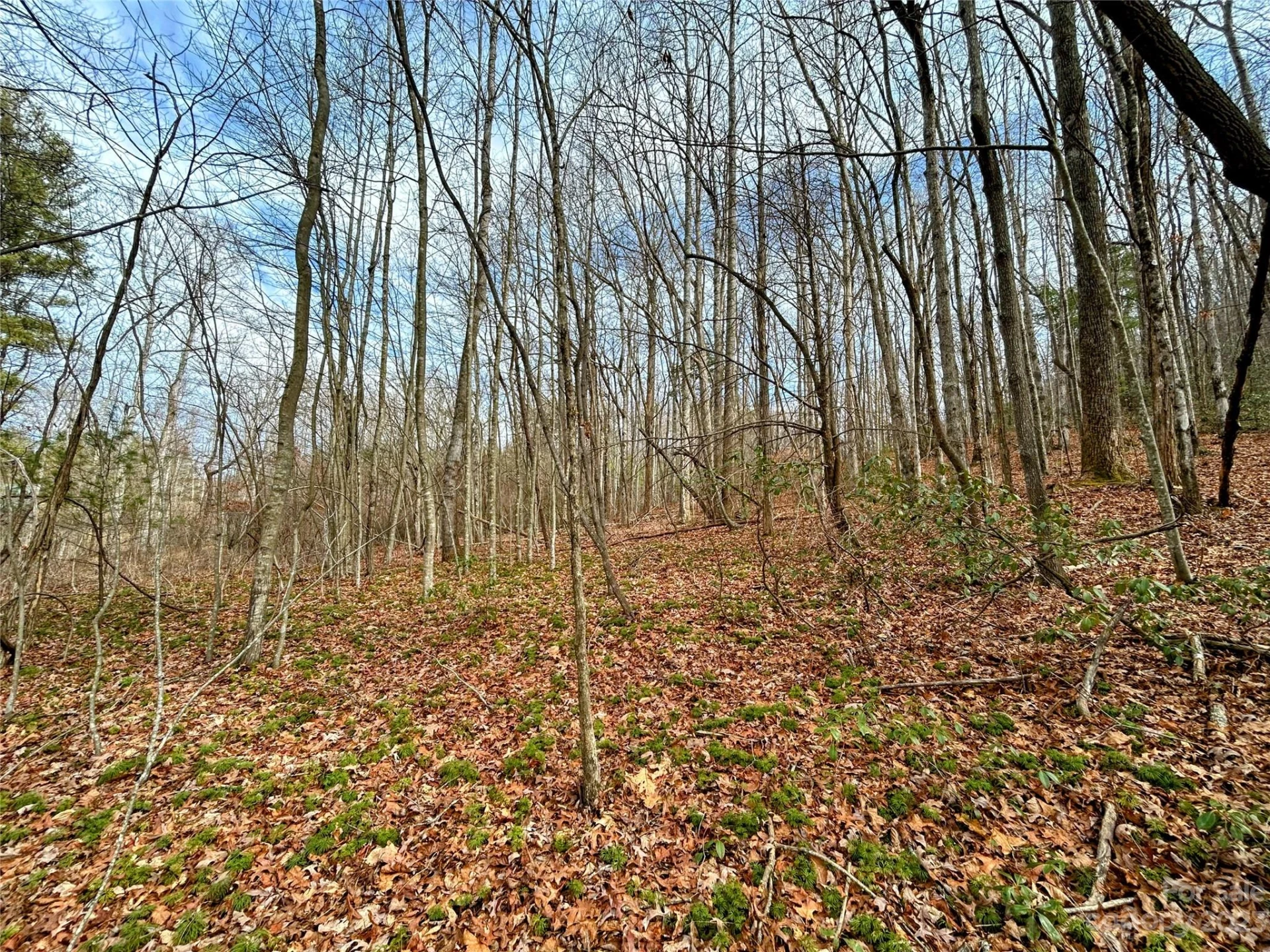 Lot 8 Azalea Way - Photo 3
