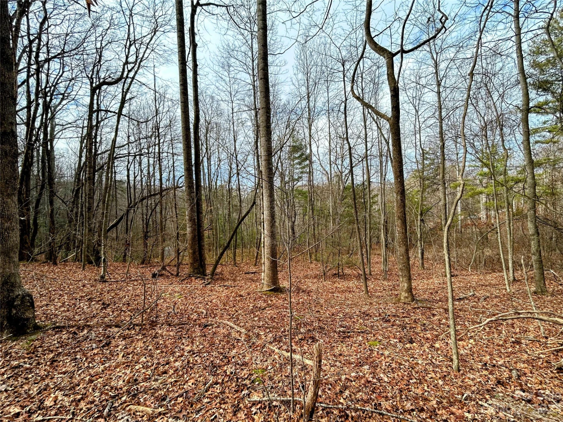 Lot 8 Azalea Way - Photo 6