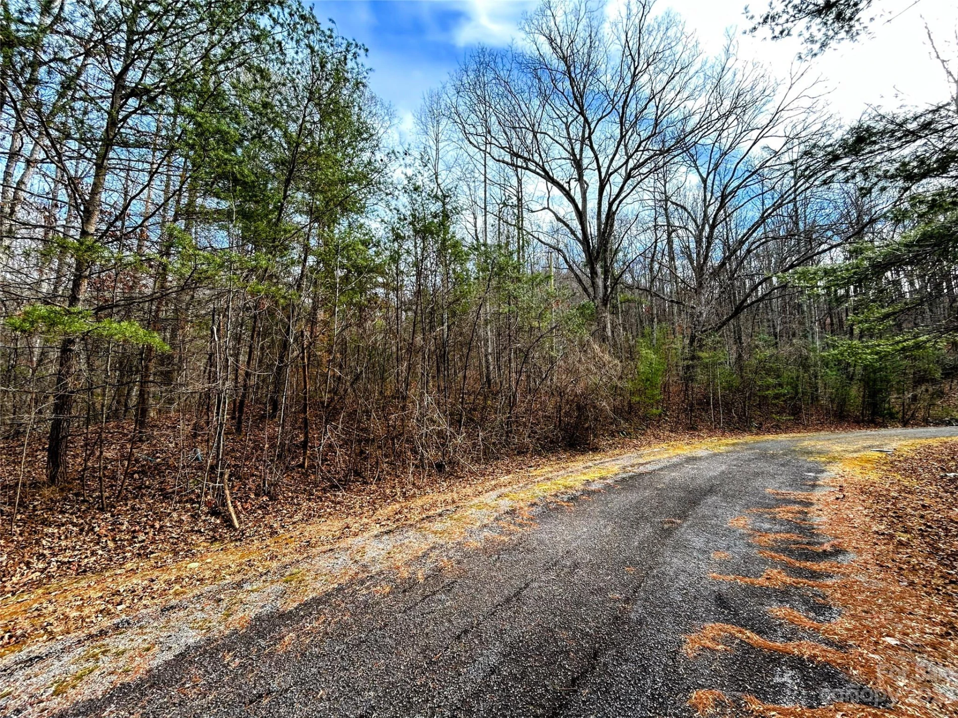 Lot 8 Azalea Way - Photo 8