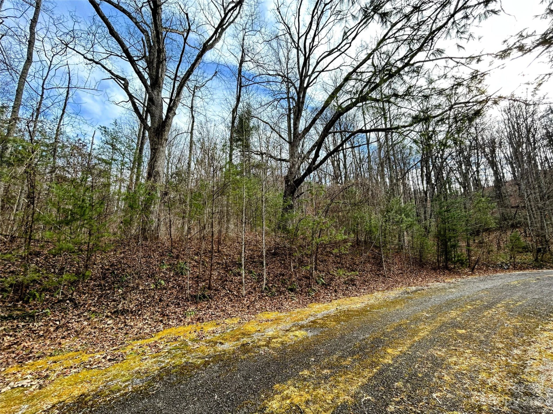 Lot 8 Azalea Way - Photo 10