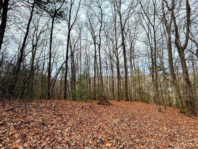 Lot 11 Rhododendron Drive