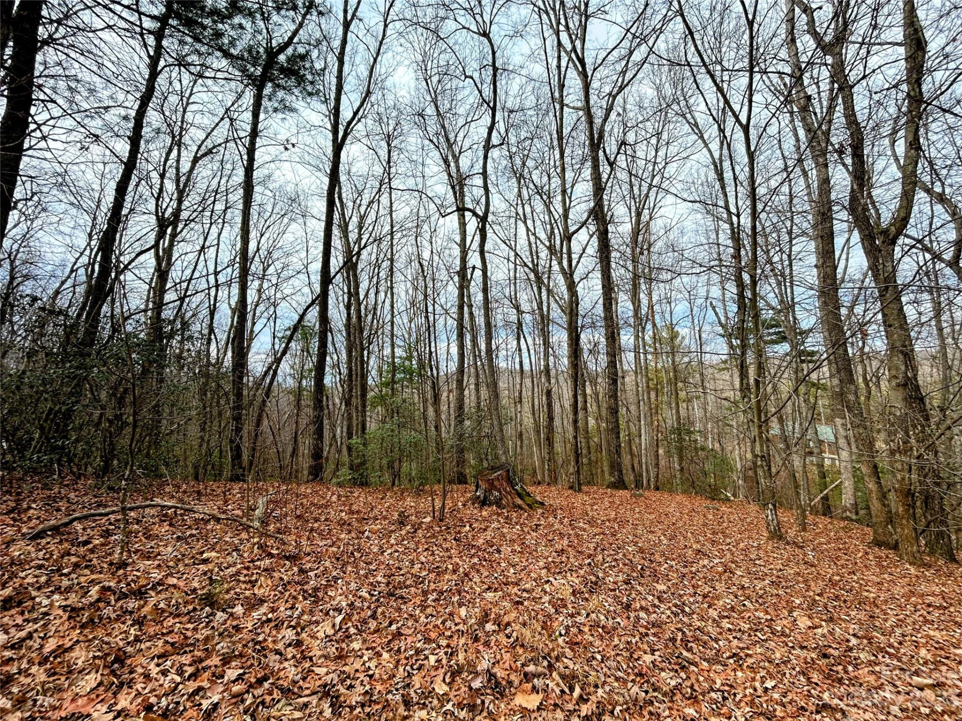 Lot 11 Rhododendron Drive