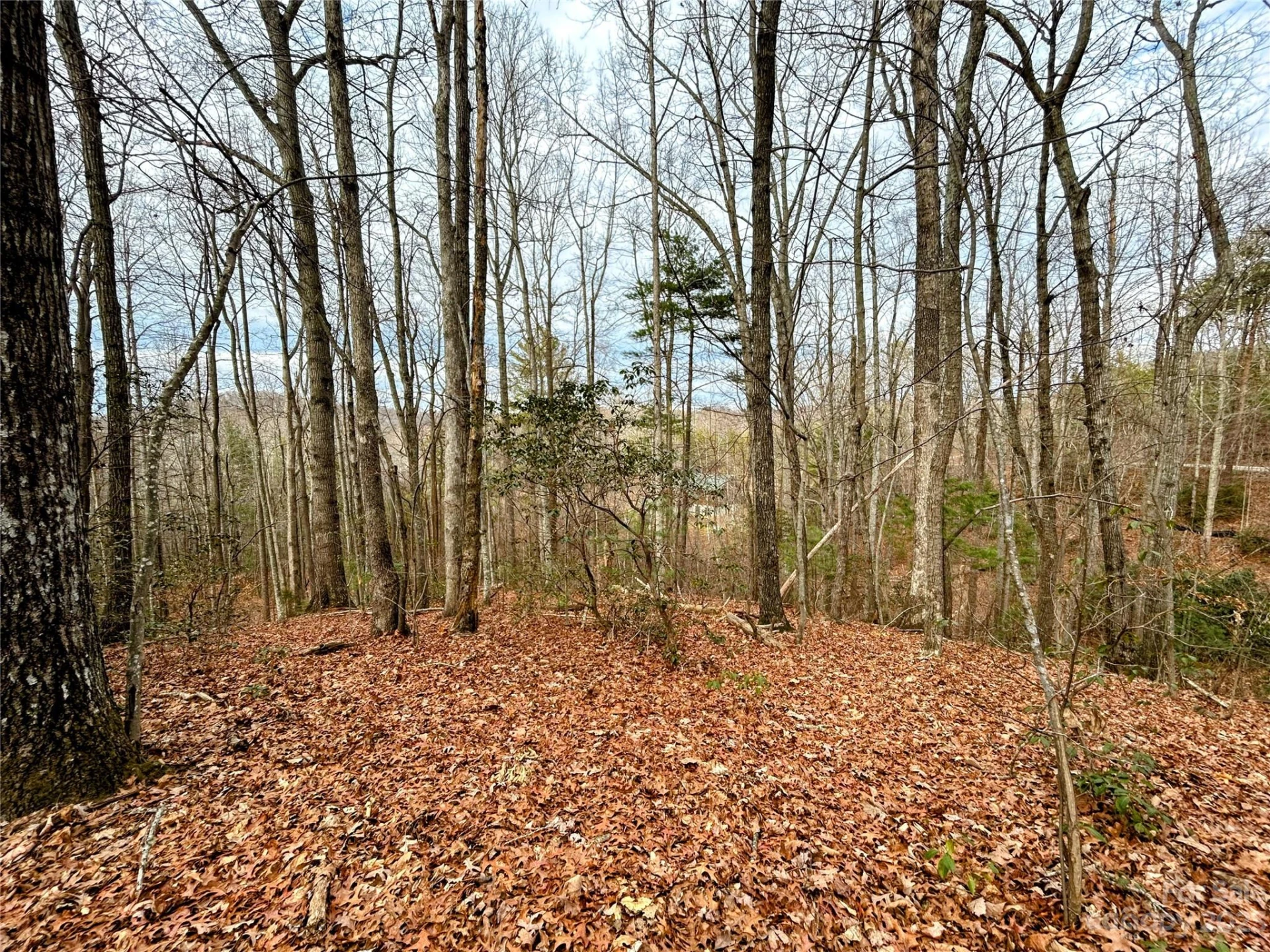 Lot 11 Rhododendron Drive - Photo 3