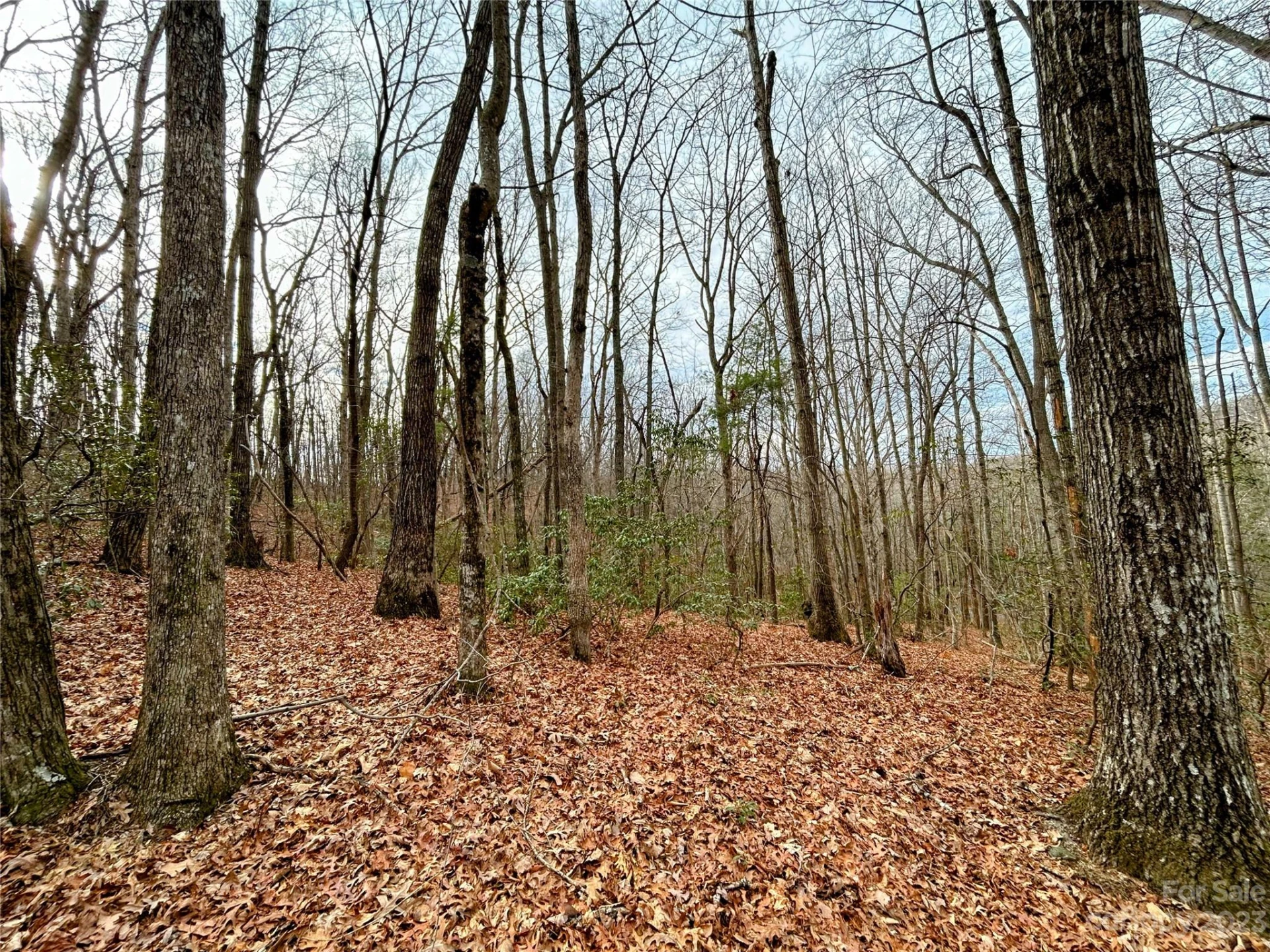 Lot 11 Rhododendron Drive - Photo 4