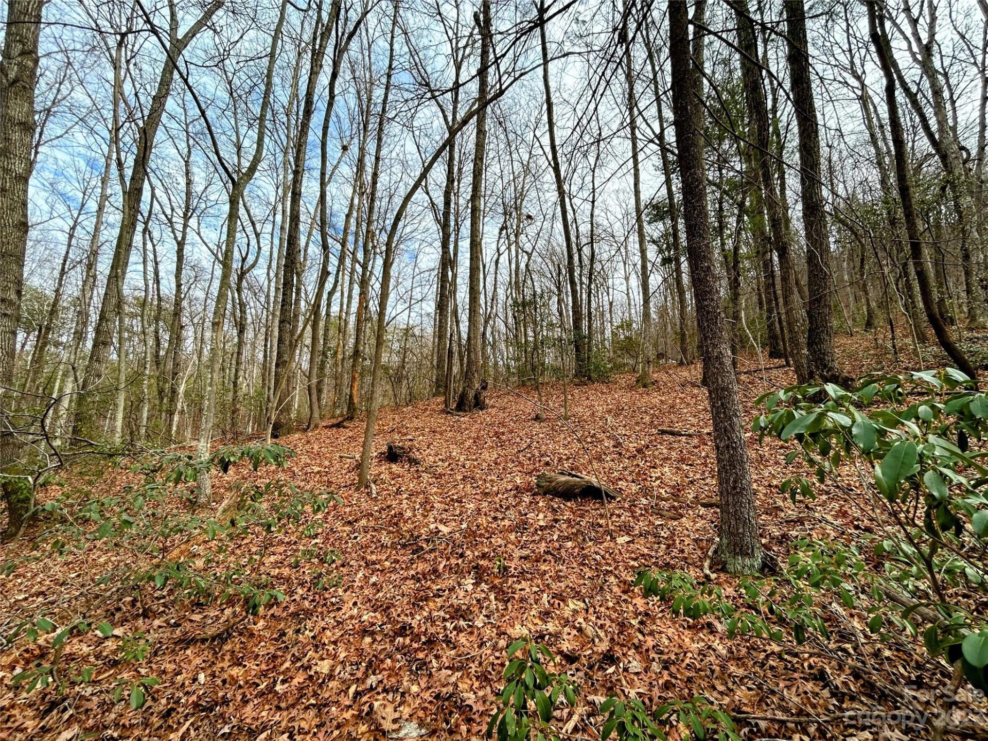 Lot 11 Rhododendron Drive - Photo 6