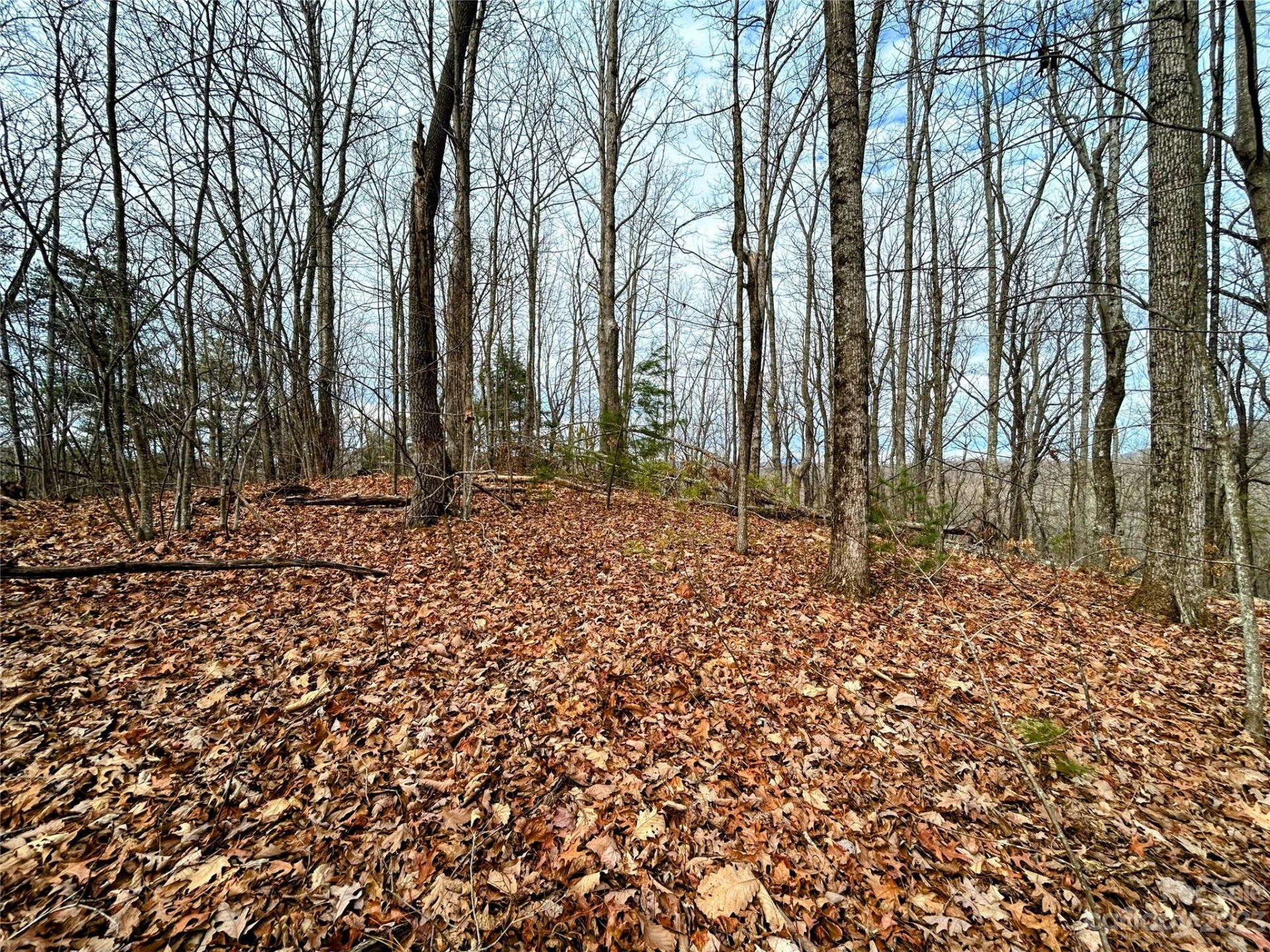 Lot 12 Rhododendron Drive