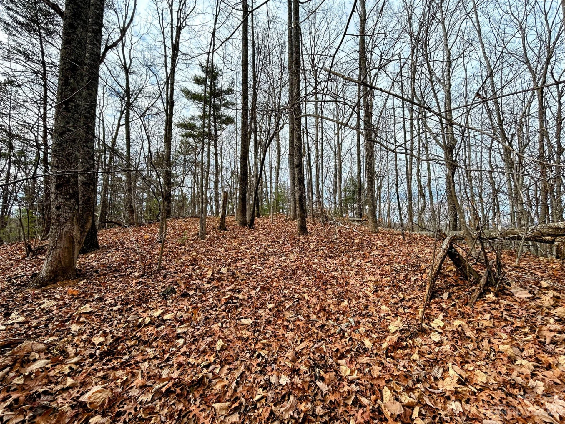 Lot 12 Rhododendron Drive - Photo 2