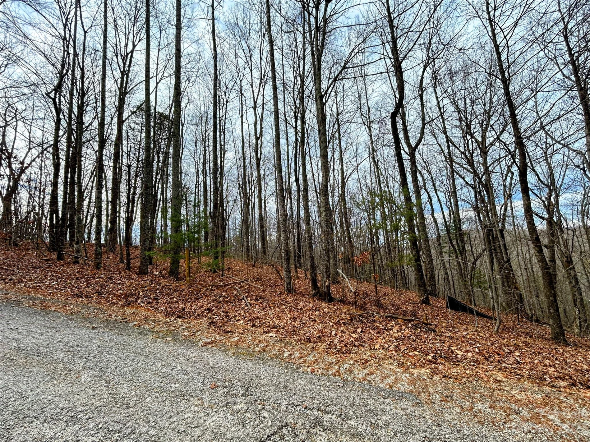 Lot 12 Rhododendron Drive - Photo 13