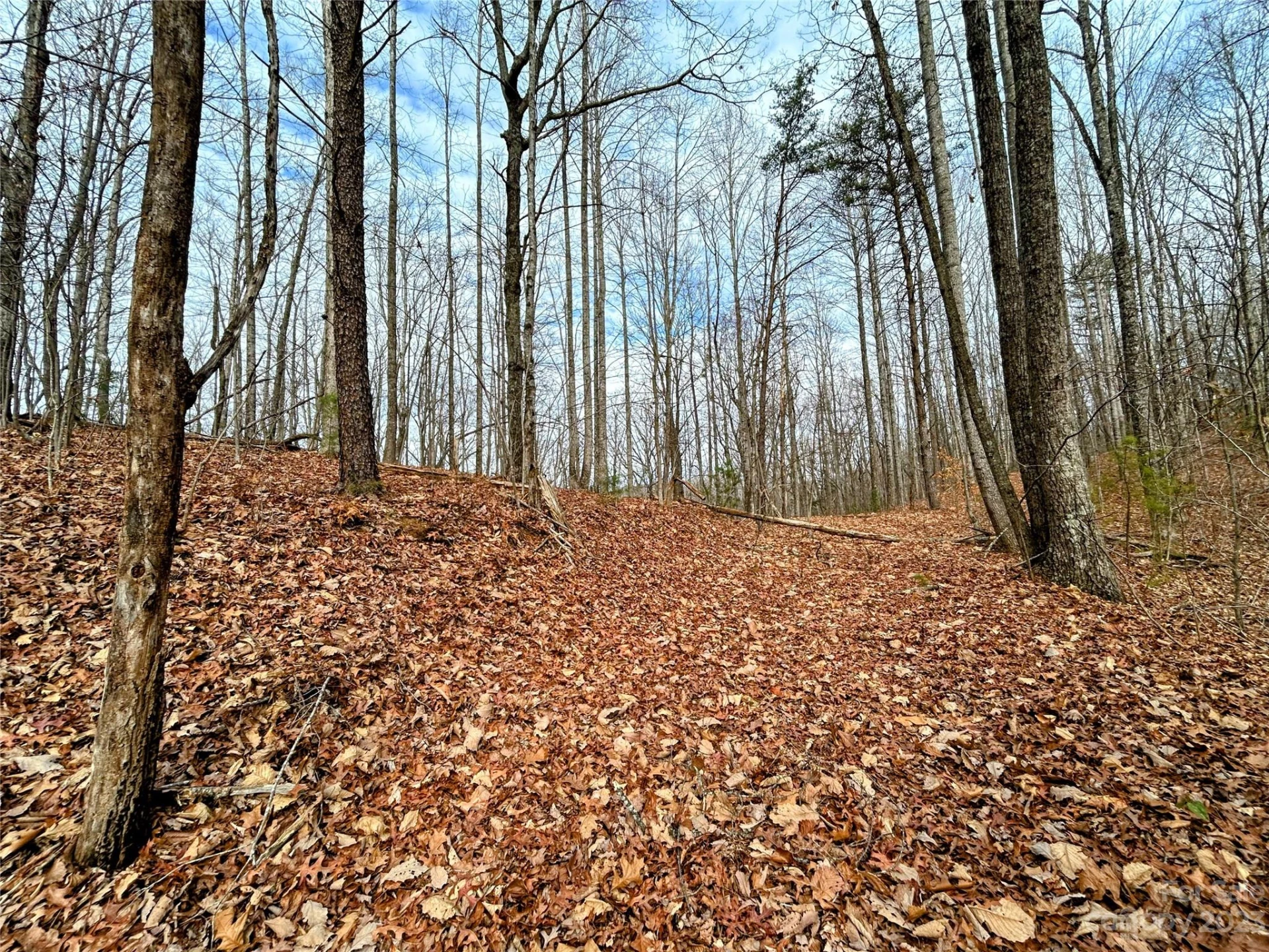 Lot 12 Rhododendron Drive - Photo 5