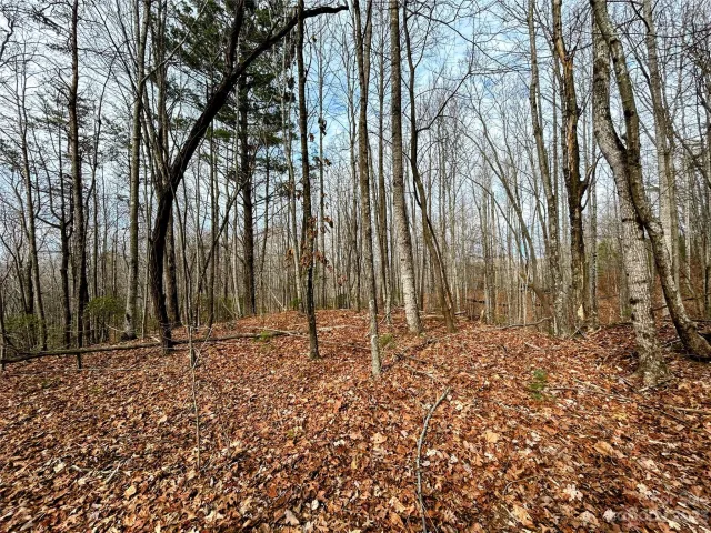 Lot 14 Rhododendron Drive