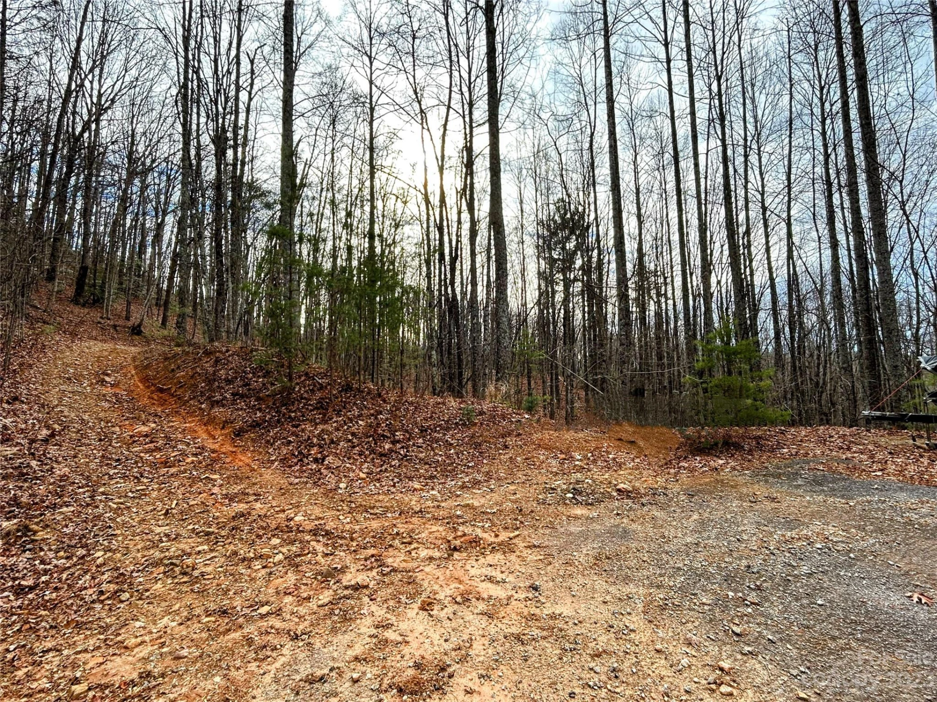 Lot 14 Rhododendron Drive - Photo 12