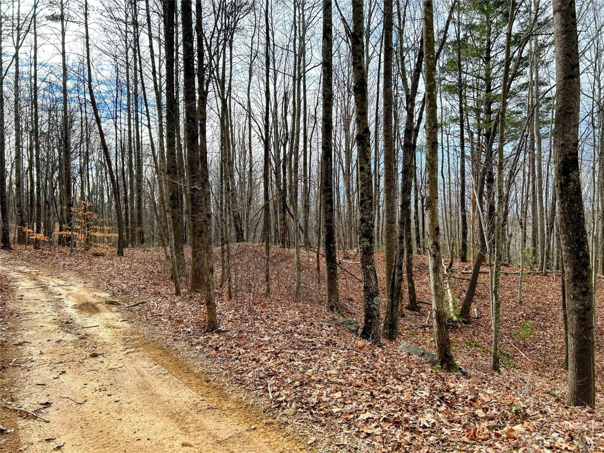 Lot 14 Rhododendron Drive - Photo 4