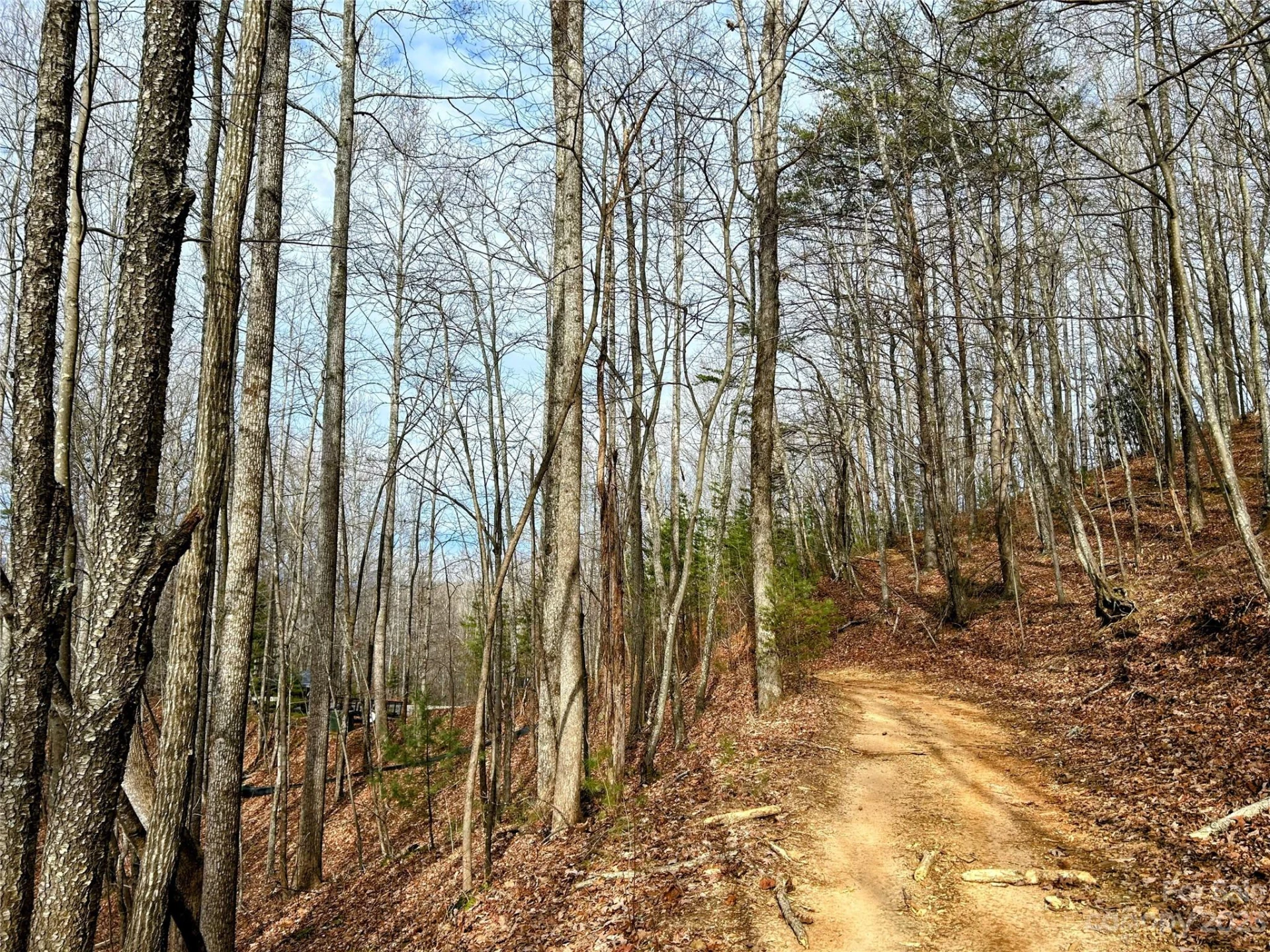 Lot 14 Rhododendron Drive - Photo 5