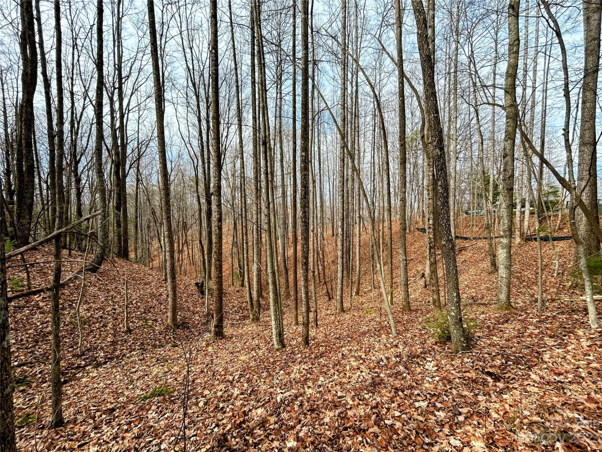 Lot 14 Rhododendron Drive - Photo 7