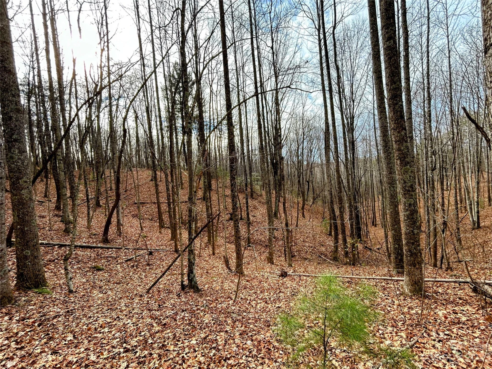 Lot 14 Rhododendron Drive - Photo 10