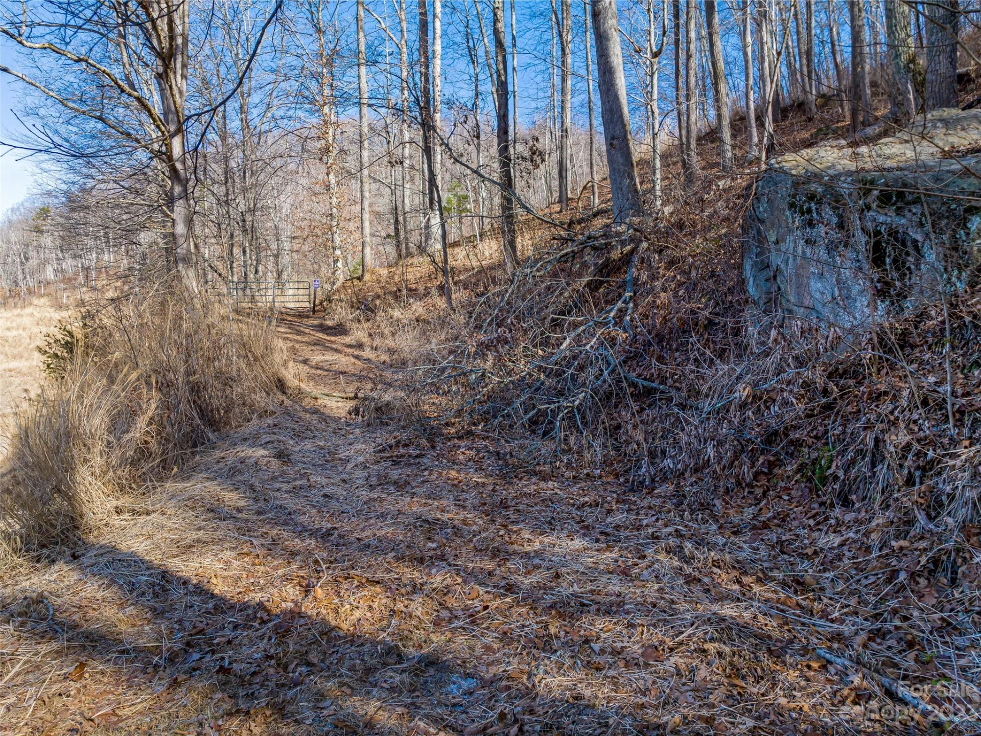 1592 & 1370 Bone Camp Road - Photo 11