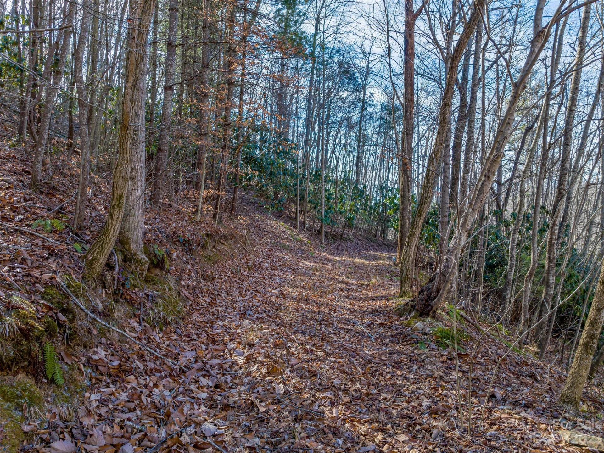 1592 & 1370 Bone Camp Road - Photo 13